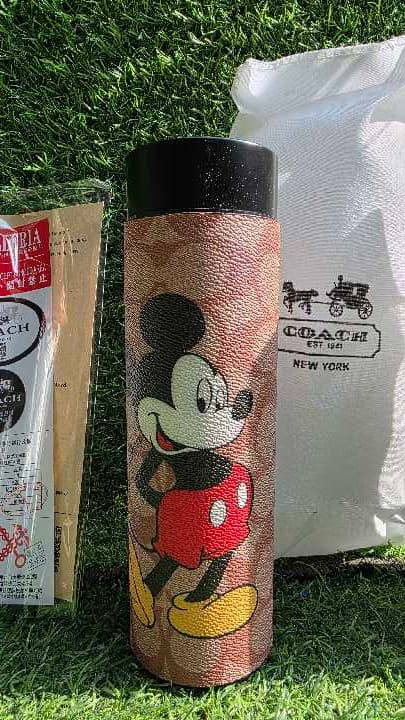 Termo dogital mickey mouse 2