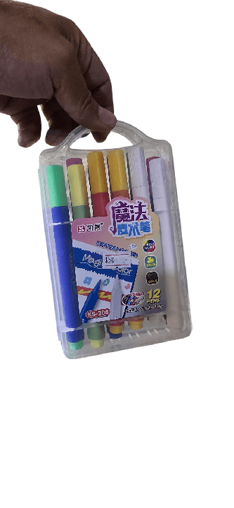 set de 12 plumones magicos