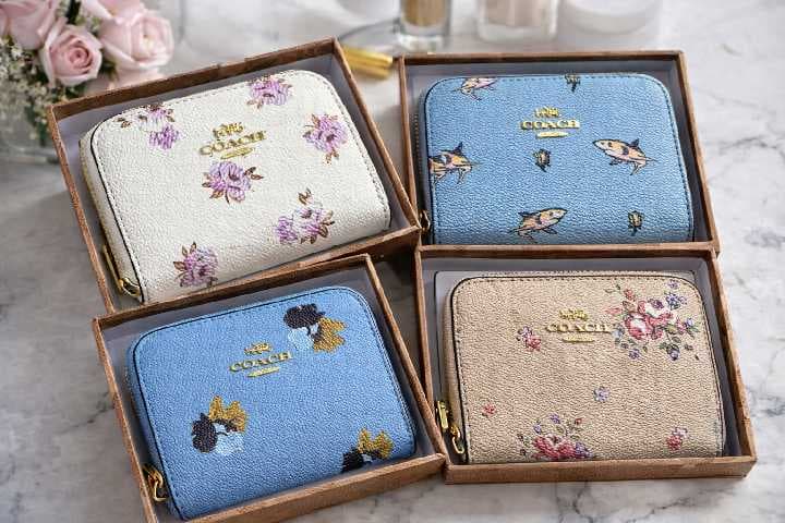 cartera coach chica para dama